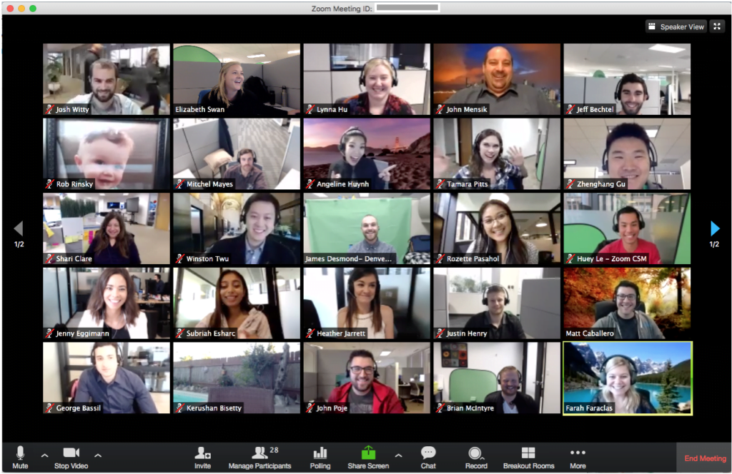 Use Zoom to Teleconference with Team