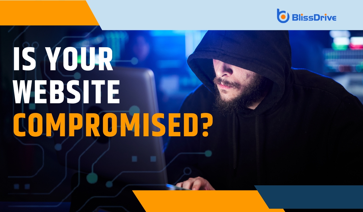 Is Your Website Compromised with Suspicious Account - a man in a black hoodie using a laptop in a place with a dim light