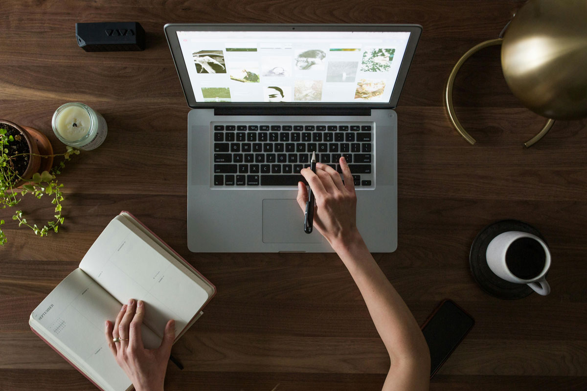 Optimize Content Creation