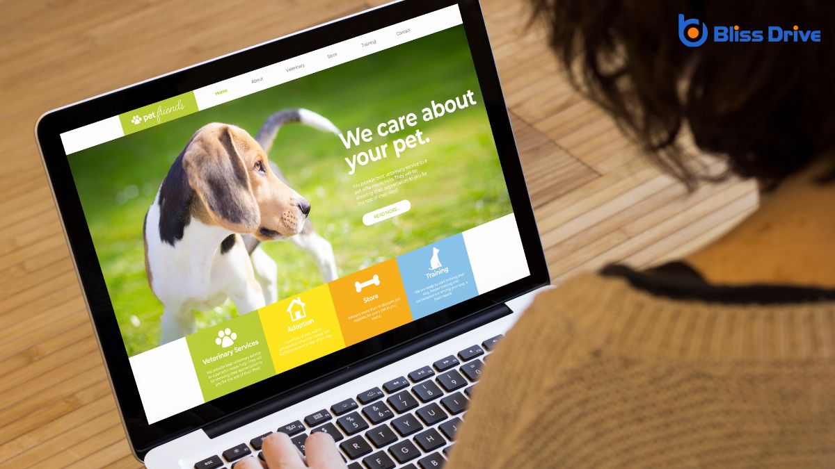 The Science Behind Site Speed and User Behavior