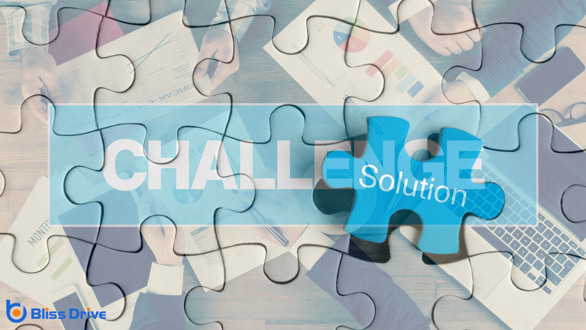 Common Challenges and Solutions in Organization Schema Design