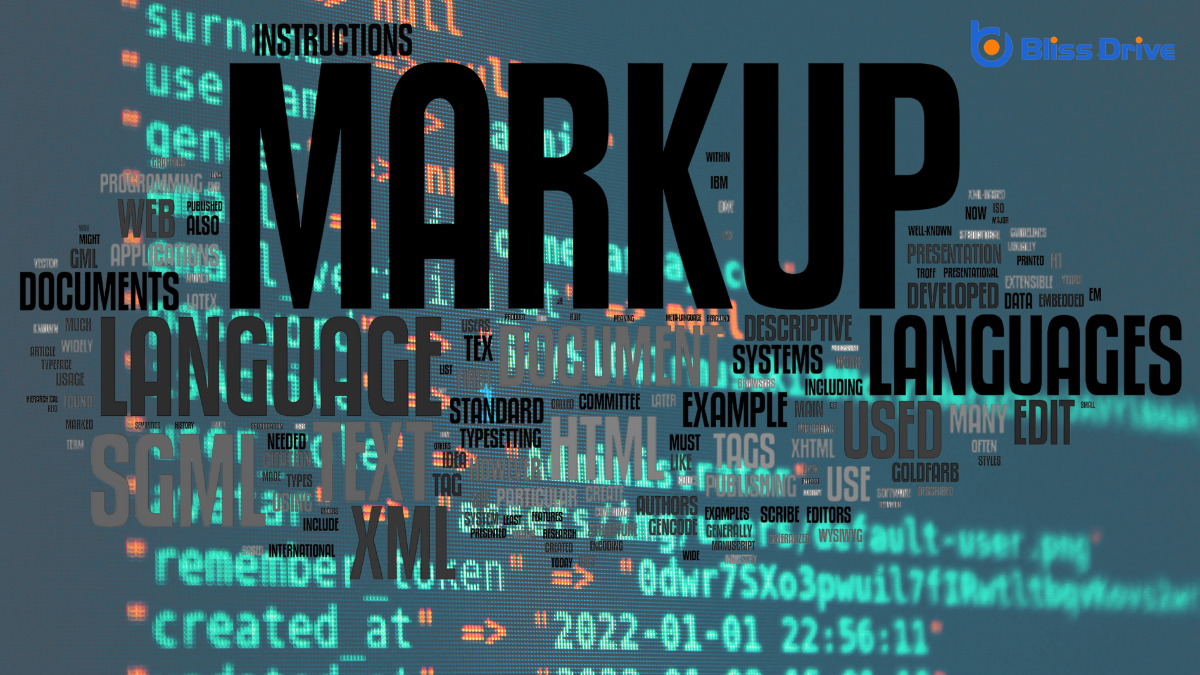 Common Types of Schema Markup