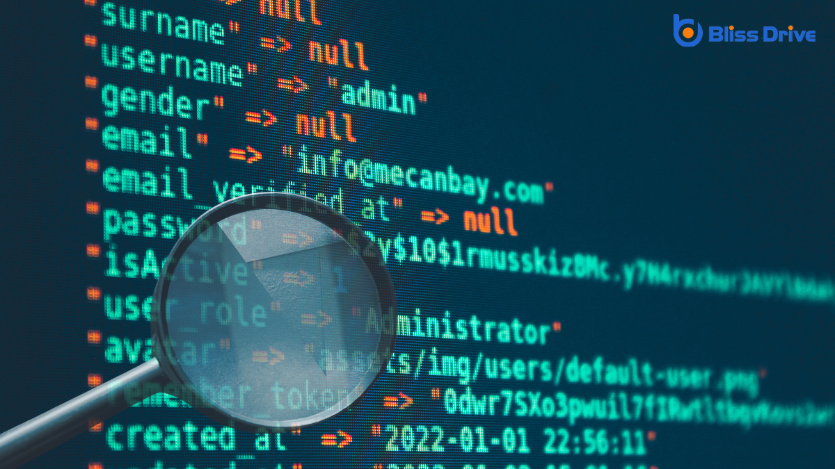 Exploring Schema Markup Validator