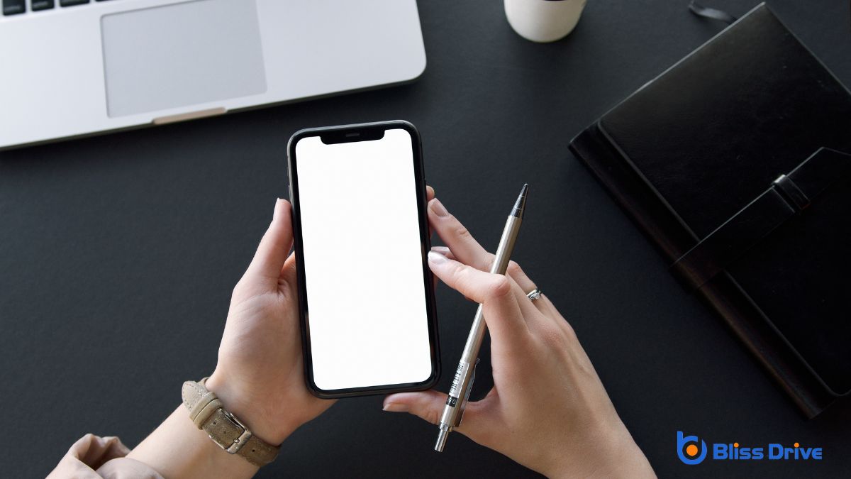 Long-Term Implications for Website Developers
