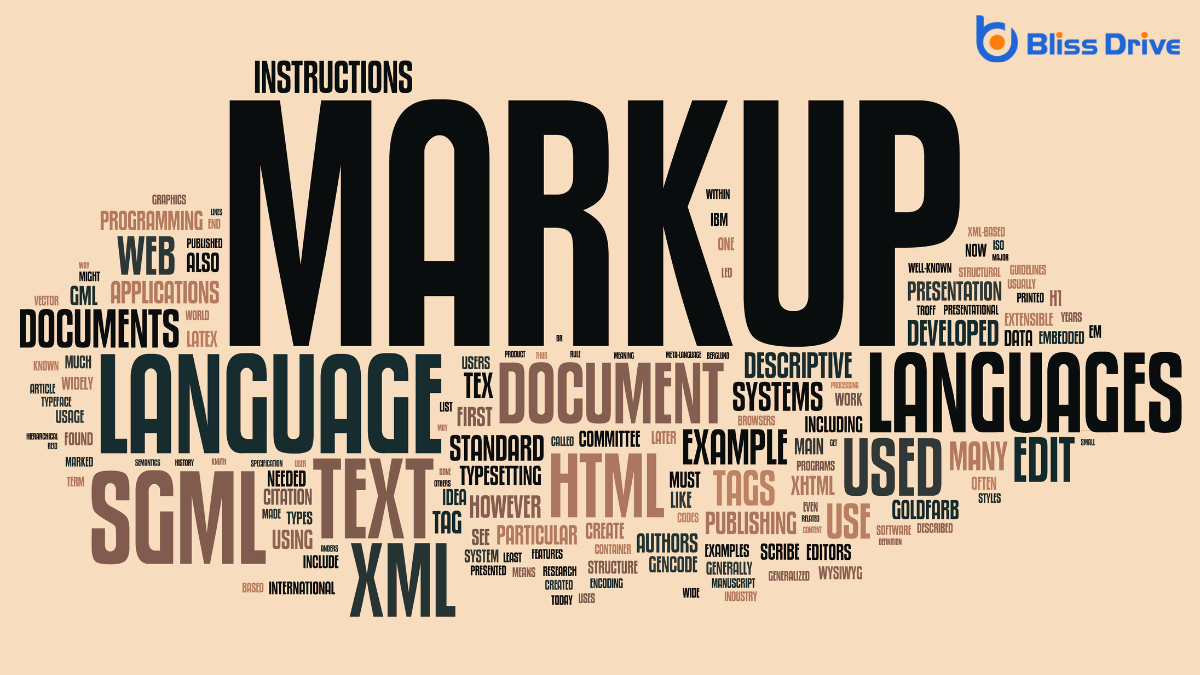 Understanding Schema Markup and Its Importance