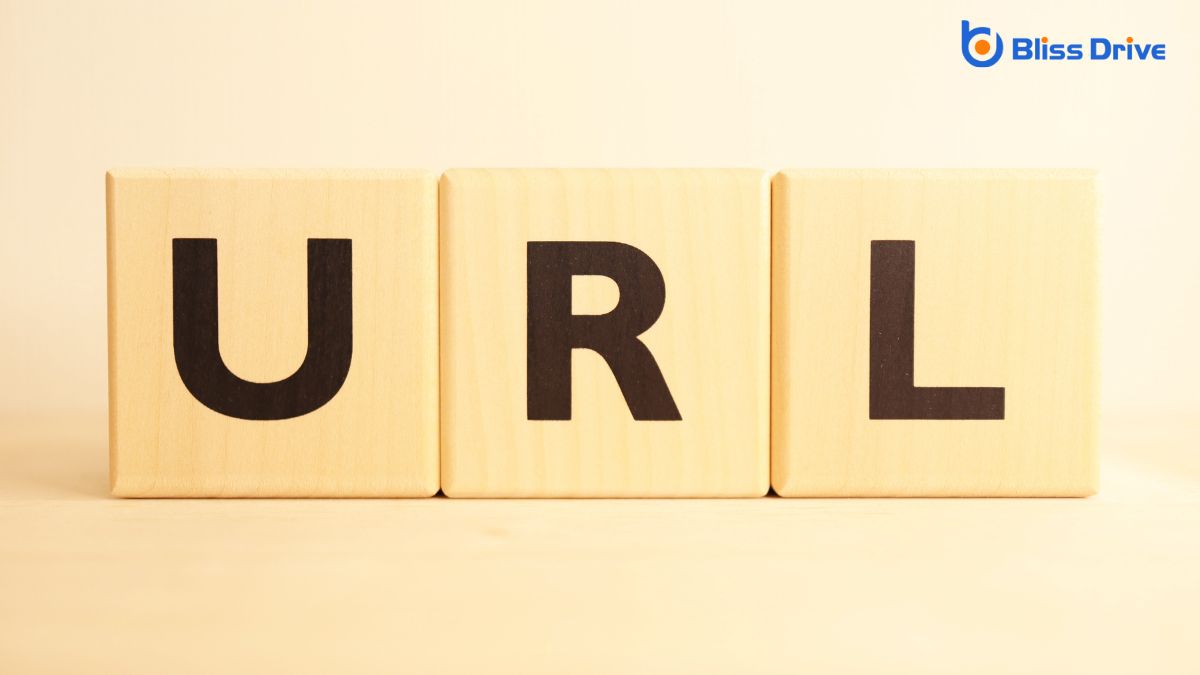 Understanding the Basics of User-Friendly URLs