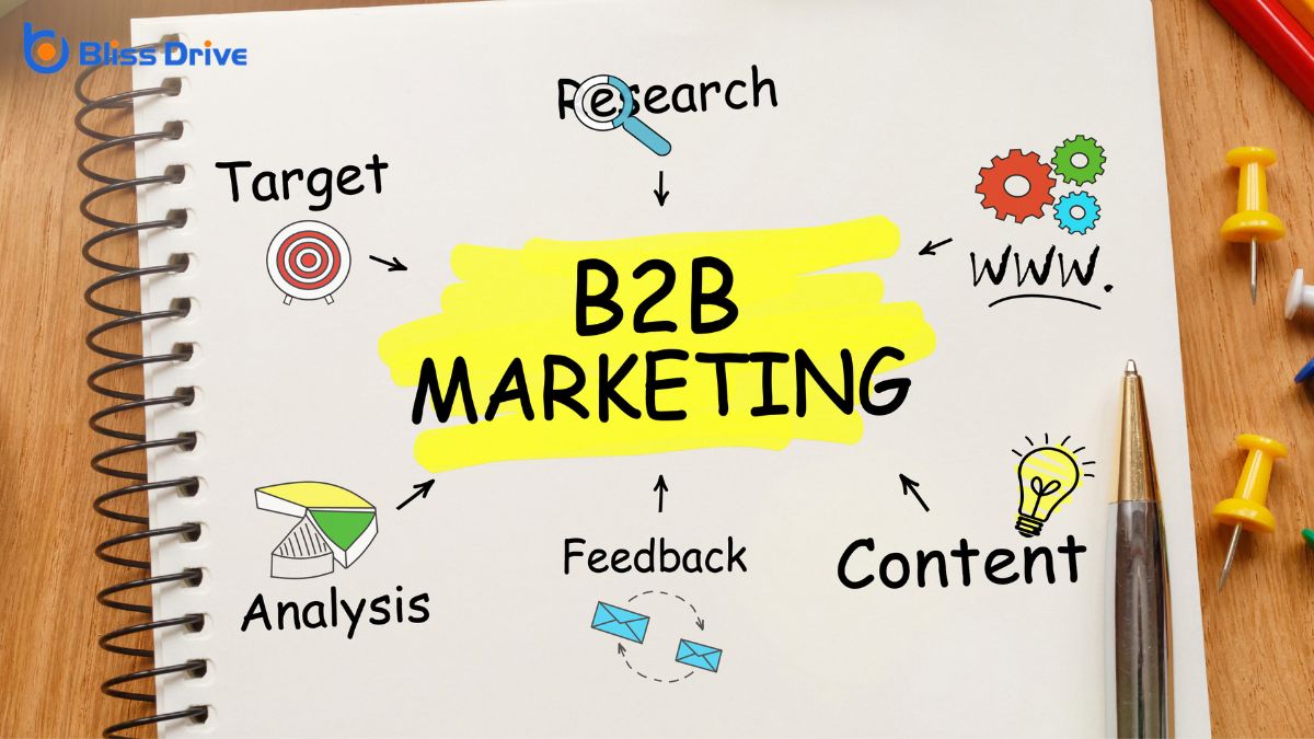 Case Studies of Successful B2B Marketing Strategies