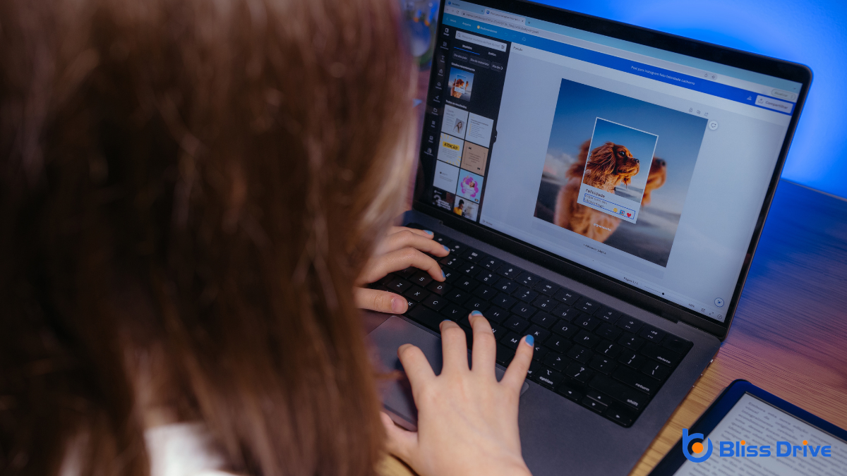 Evaluating Canva's Features for Web Design