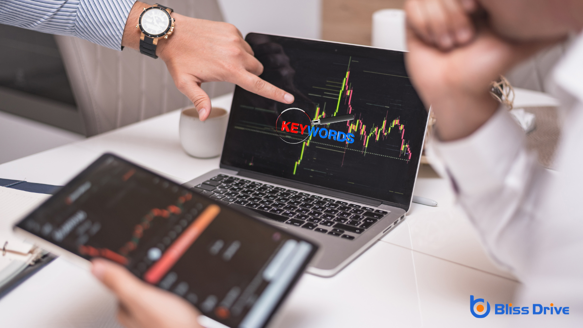 Keyword Rankings and Opportunities