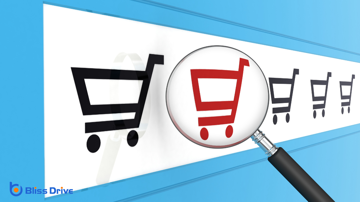 Shopify: Tailored Solutions for E-Commerce Beginners