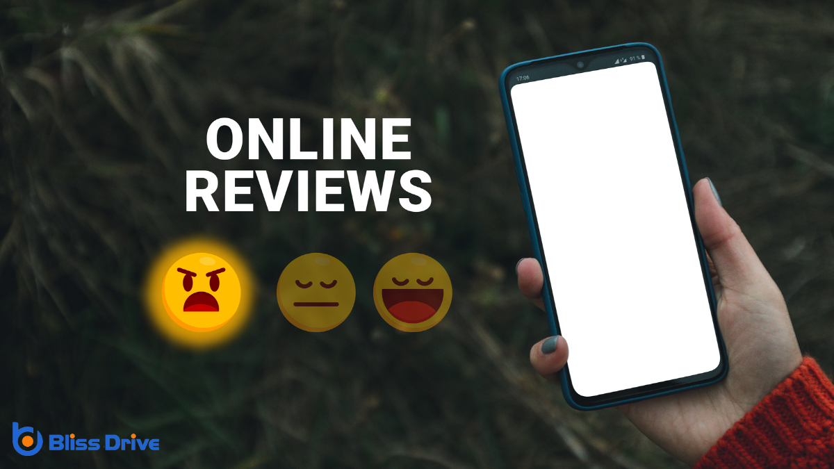 The Importance of Online Reviews