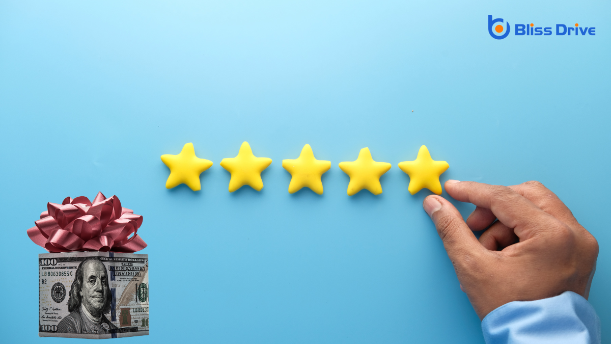 Understanding Review Incentives