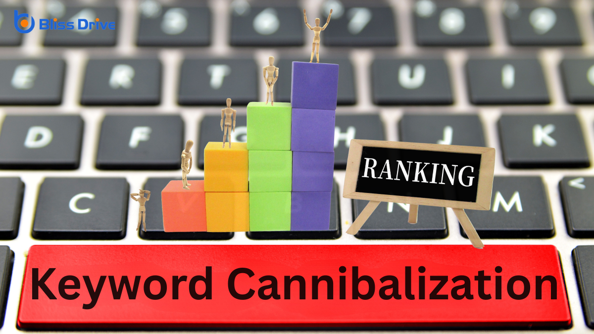 Evaluating the Impact of Cannibalization on Competitor Rankings