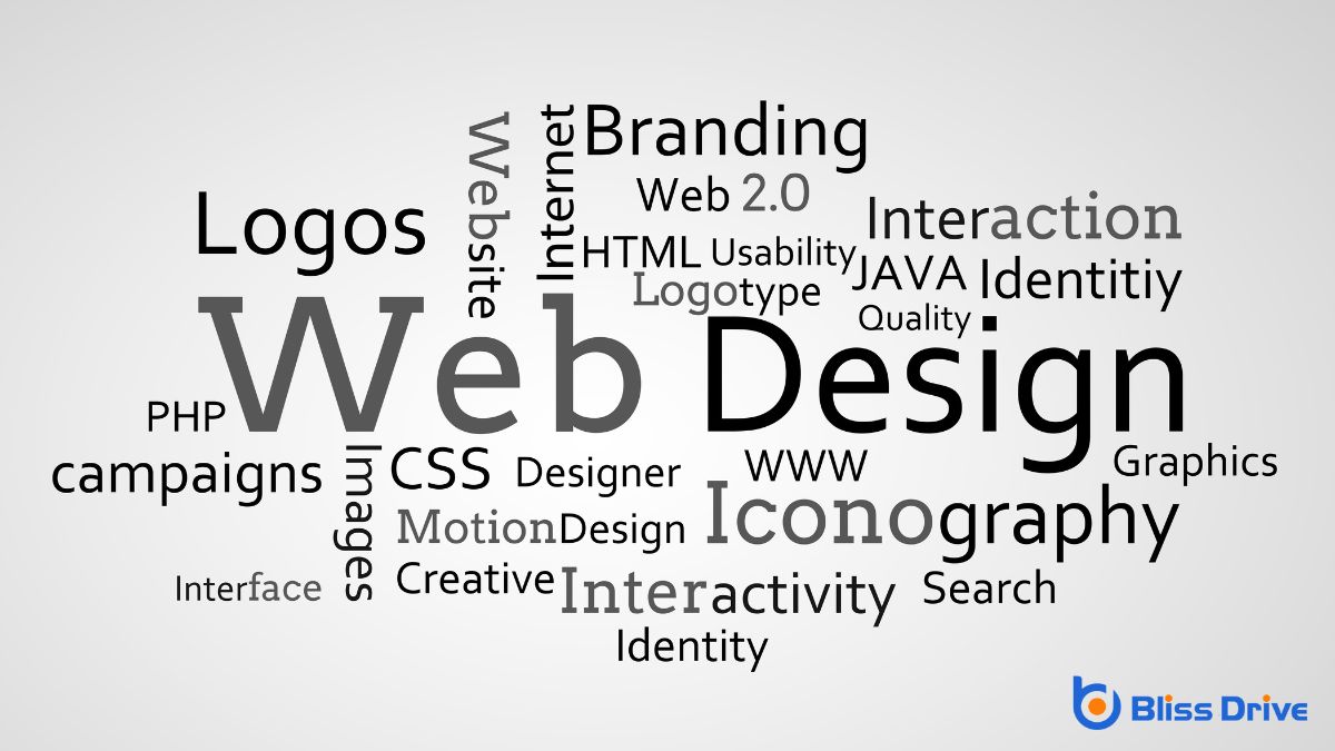 Do Web Designers Use Adobe Illustrator