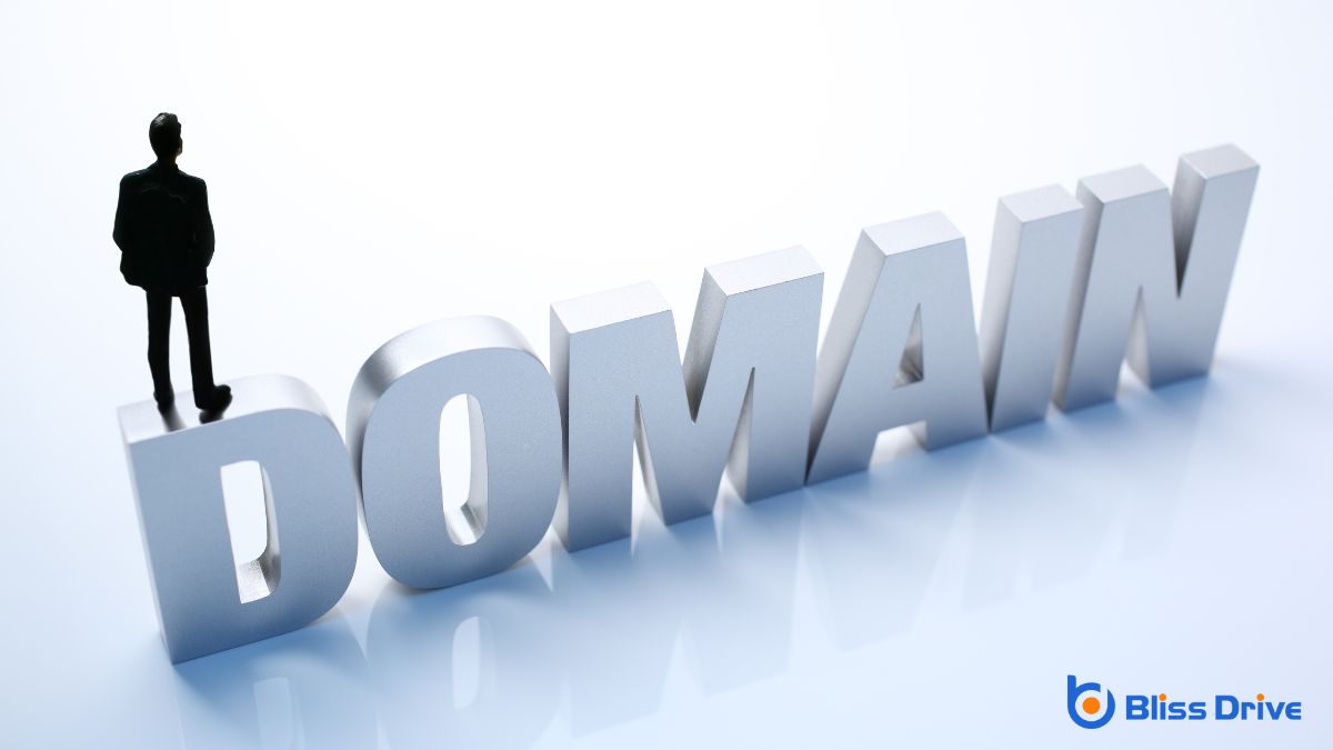 Understanding Domain Name Ownership