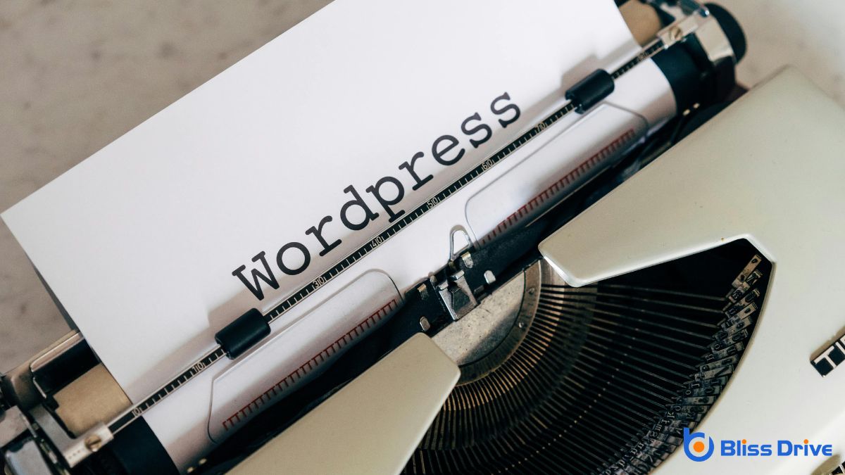 Understanding SEO Capabilities in WordPress