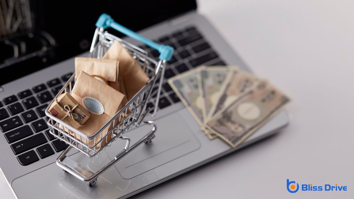 Understanding the Importance of WordPress Plugins