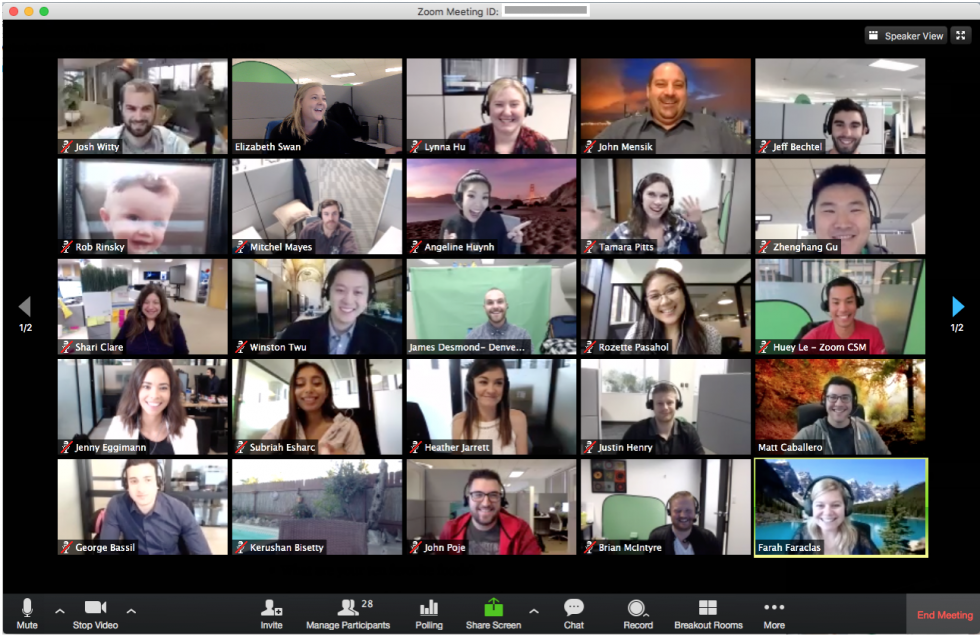 Use Zoom to Teleconference with Team